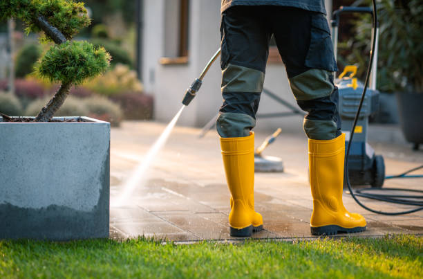 Best Power Washing Near Me  in Conyngham, PA